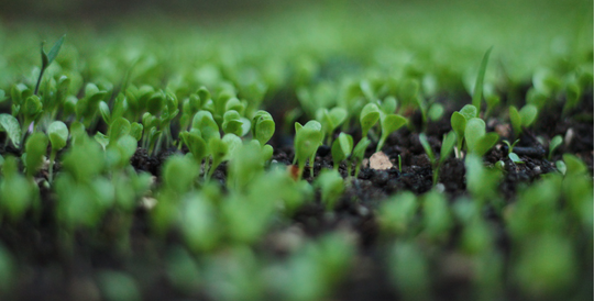 The truth about harmful chemicals in personal health products