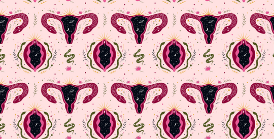 female reproductive anatomy displayed as wallpaper