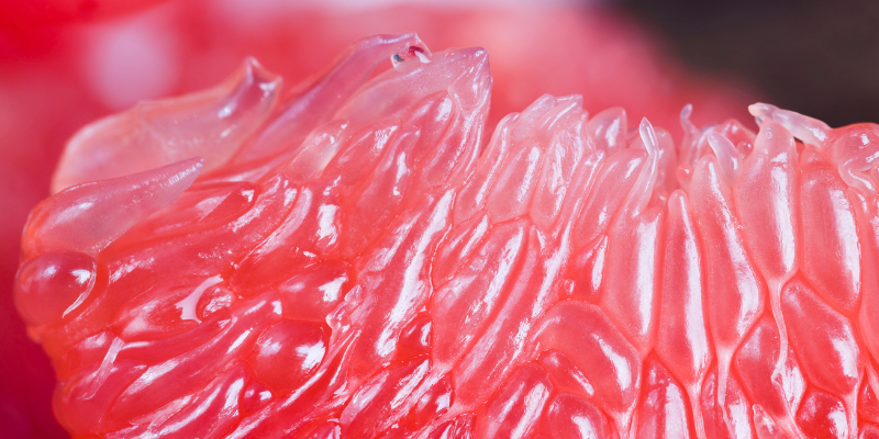 Grapefruit seed extract